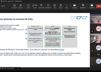 Exitosa convocatoria en la última sesión del Grupo de Interés de Innovación de ASUG Chile